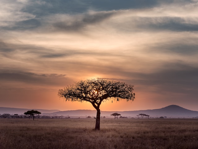 Cost of Studying and Living in Africa for International Students