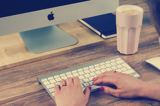5 Best Universities for Online Bachelor’s Degrees in New Zealand