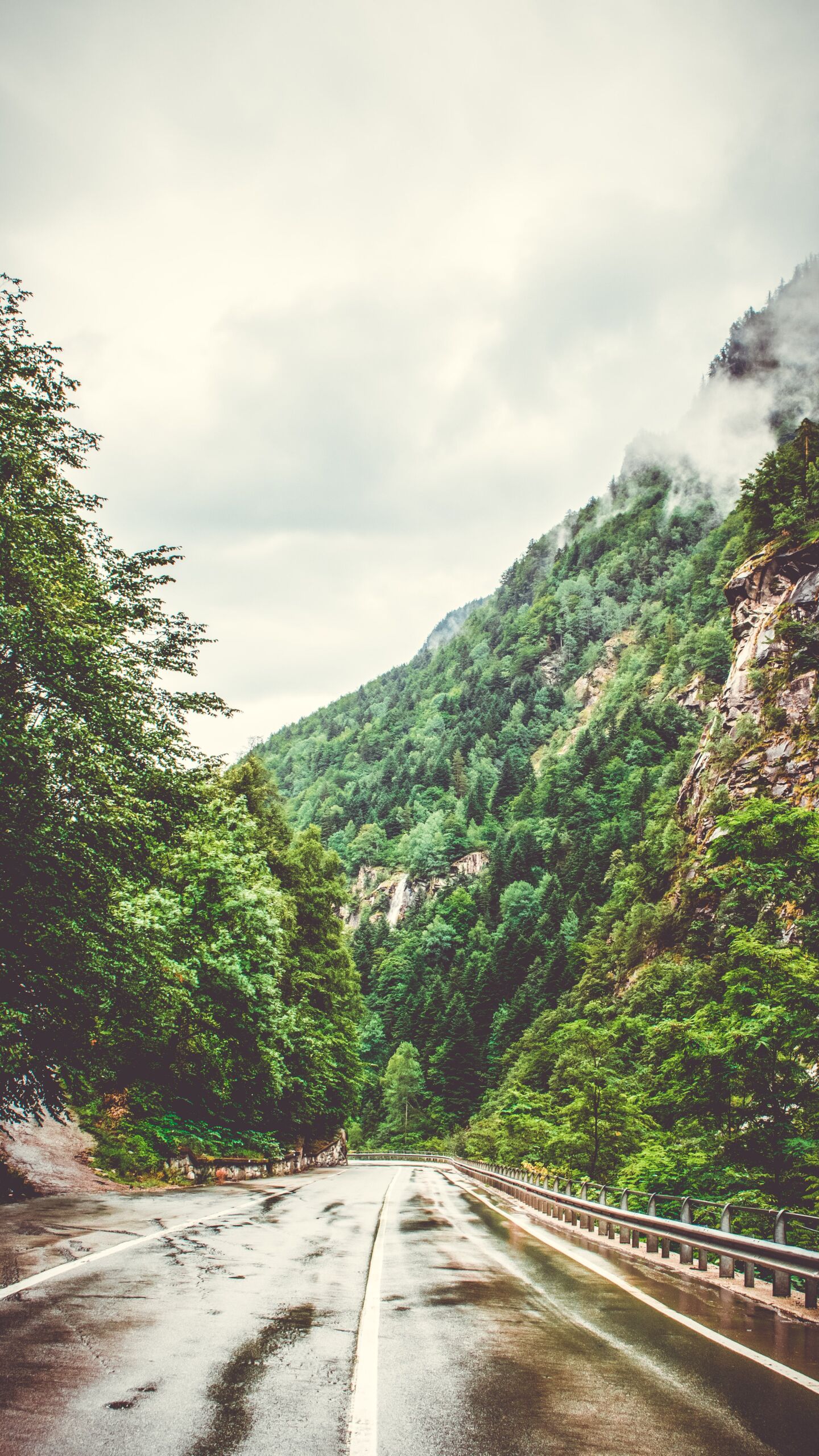 5 Best English-taught Universities in Switzerland