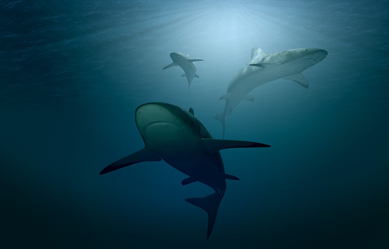 5 Best Marine Biology Schools in the Philippines