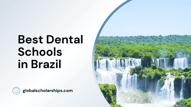 Best Dental Schools in Brazil