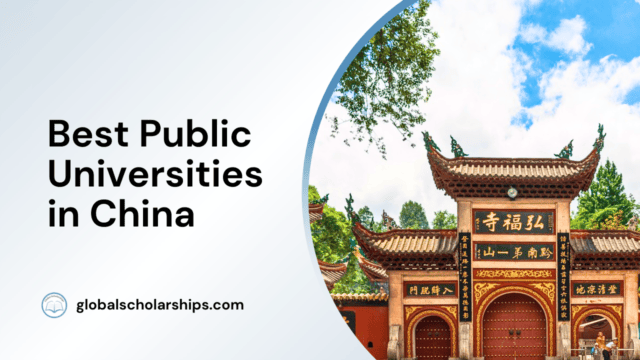 Best Public Universities in China