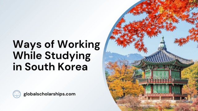 Ways of Working While Studying in South Korea