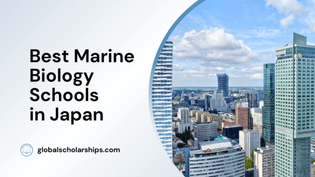 Best Marine Biology Schools in Japan