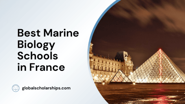 Best Marine Biology Schools in France