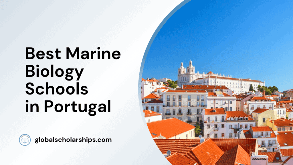 5 Best Marine Biology Schools in Canada Global Scholarships
