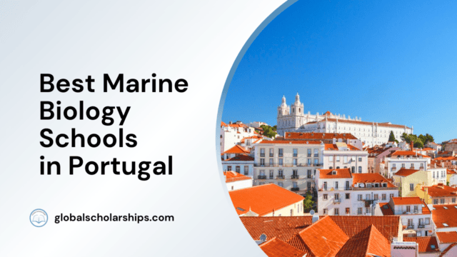 Best Marine Biology Schools in Portugal