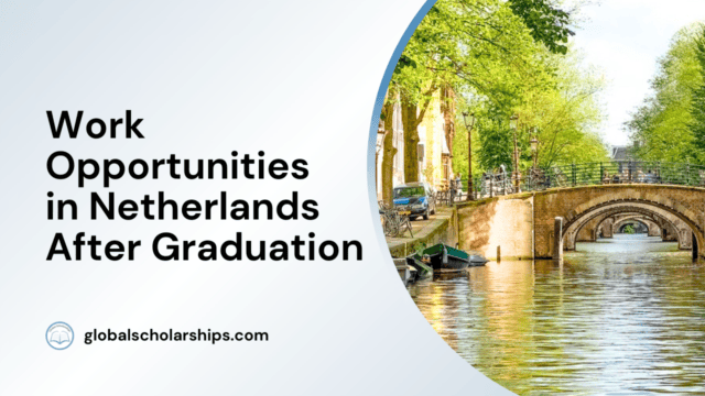 Work Opportunities in Netherlands After Graduation