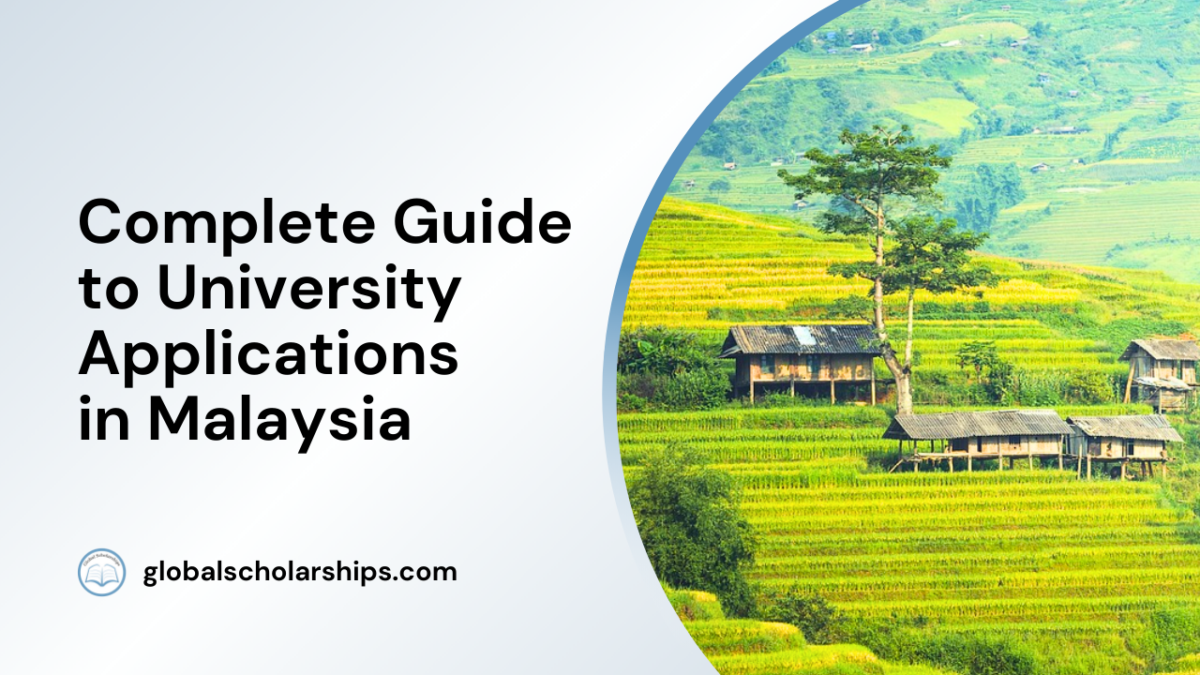 COMPREHENSIVE GUIDE TO GLOBAL EDUCATIONAL SCHOLARSHIPS visual data 4