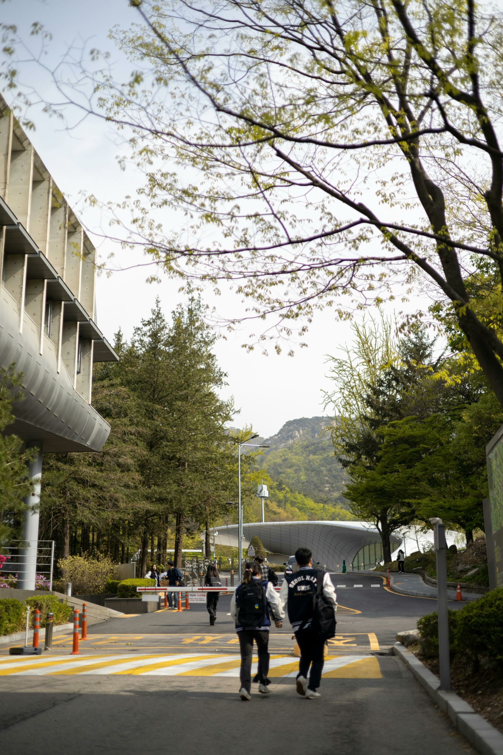 5 Best Universities for Online MBA in Australia