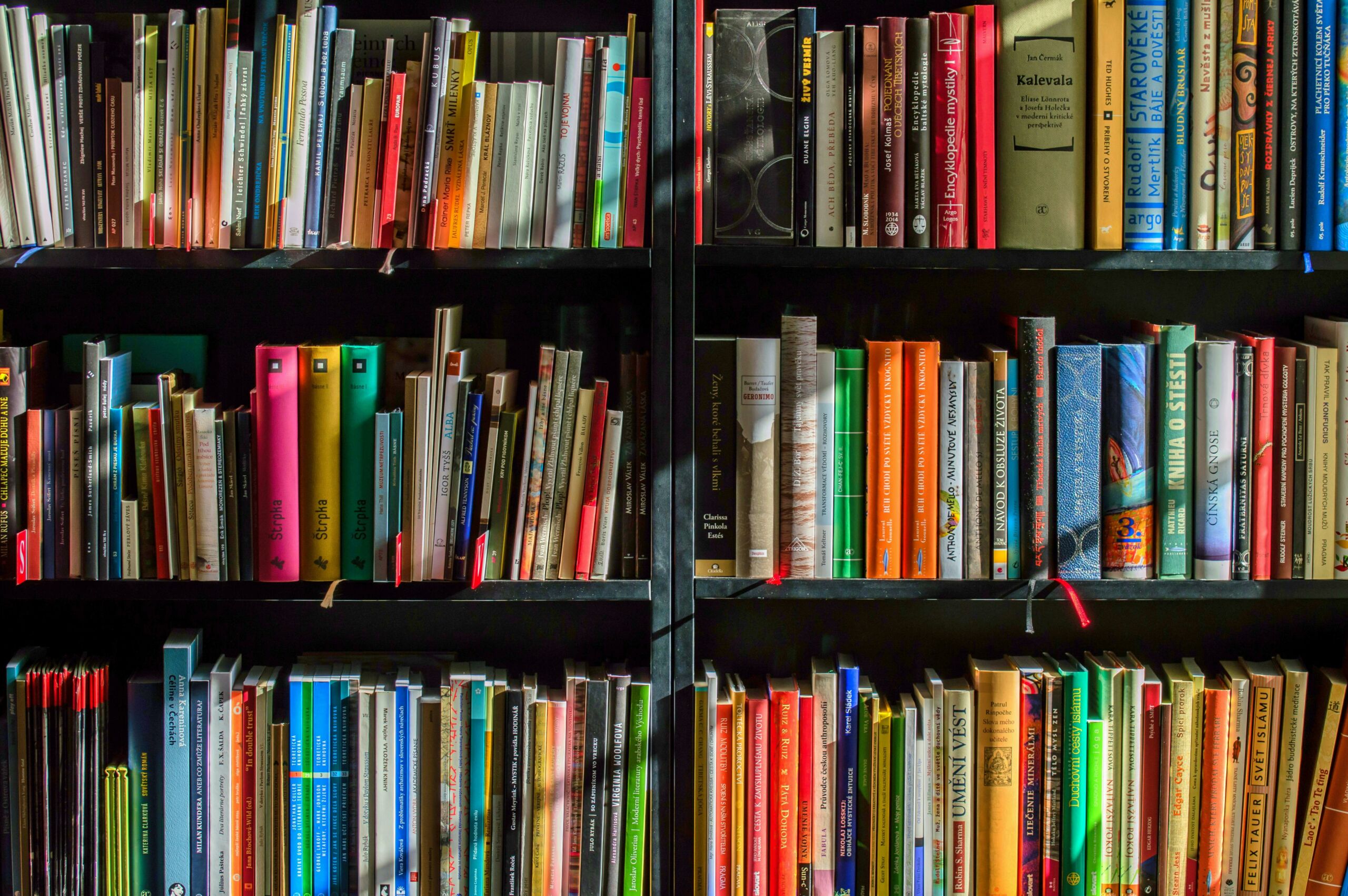 5 Best Subjects to Study in Saudi Arabia