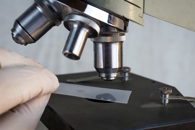 5 Best Universities to Study Biology in the USA
