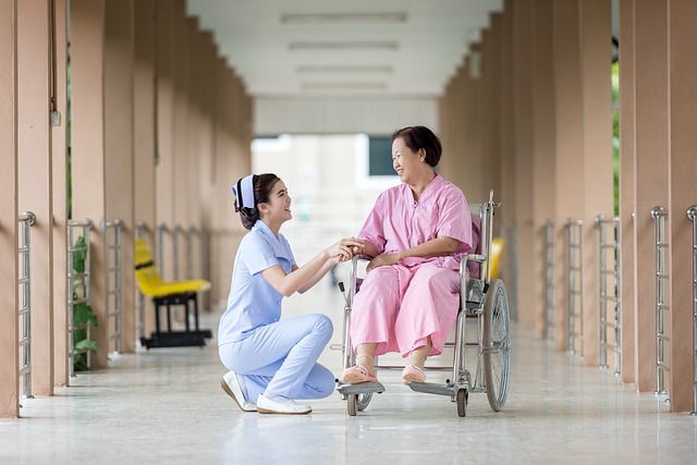 5 Best Nursing Schools in the USA