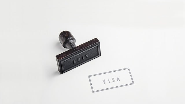 How to Get a US Work Visa (7 Steps)