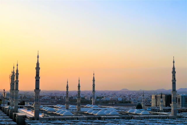 Higher Education in Saudi Arabia