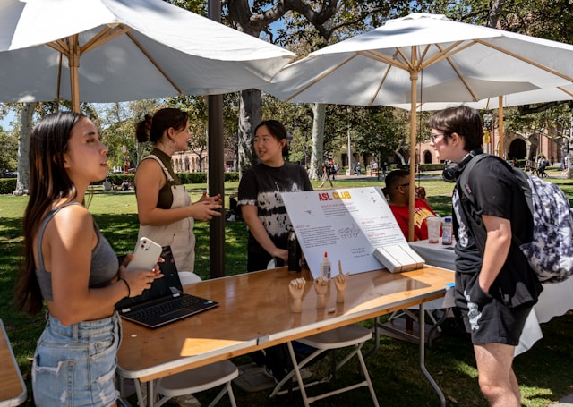 Complete Guide to University Applications in New Zealand