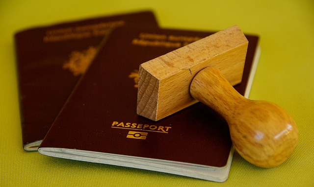 How to Get a New Zealand Work Visa (9 Steps)