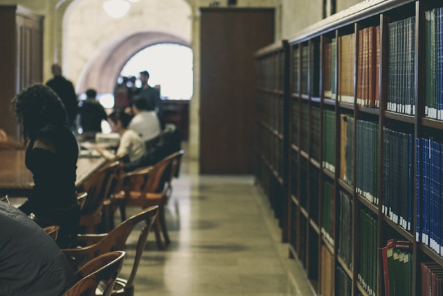 Pros and Cons of the Education System in New Zealand