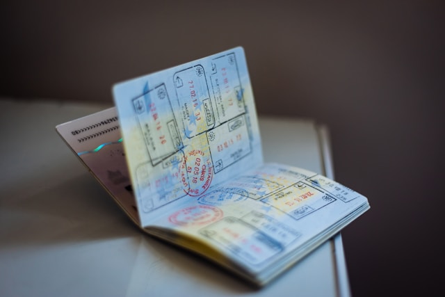 How to Get a Student Visa for New Zealand (5 Steps)