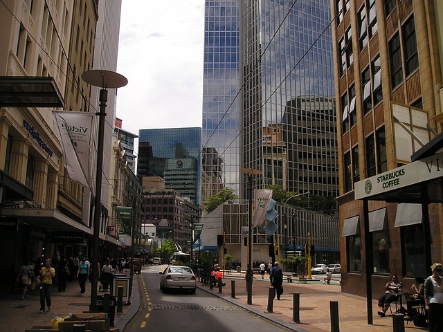 5 Best Cities to Study in New Zealand for International Students