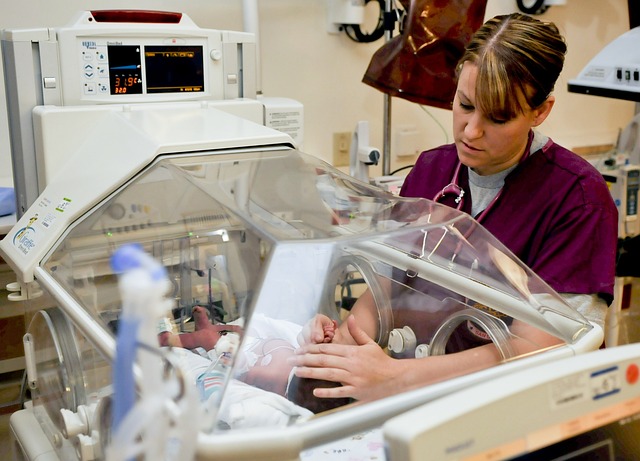 5 Best Nursing Schools in New Zealand