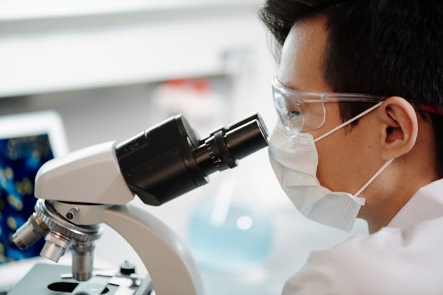 5 Best Universities to Study Biology in New Zealand