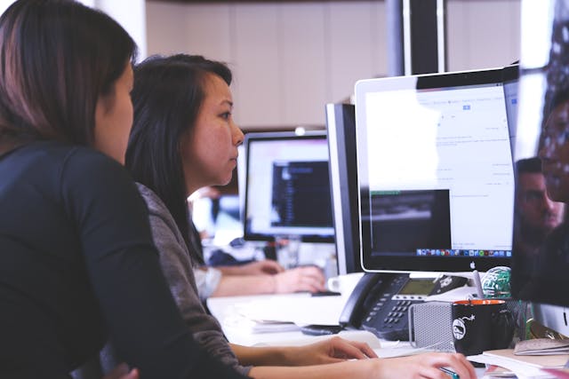 4 Work Opportunities in New Zealand After Graduation