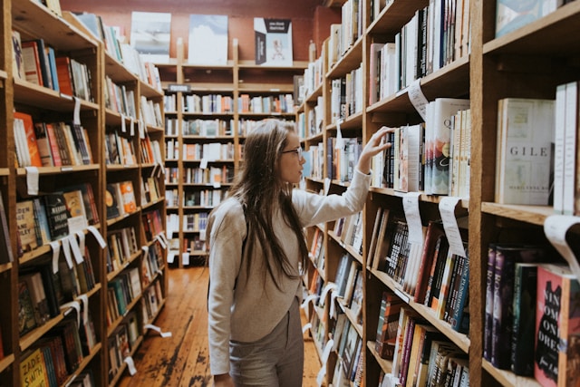 5 Best Subjects to Study in the Netherlands