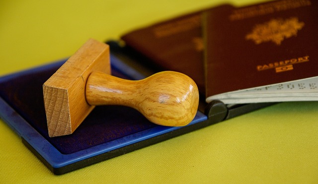 How to Get a Dutch Work Visa (4 Steps)