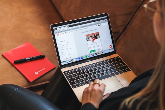 5 Work Opportunities in the Netherlands After Graduation