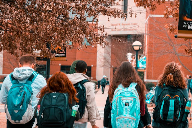Study Bachelor’s in the Netherlands: Requirements and Application Process