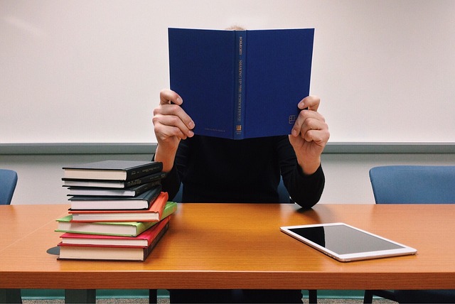 Pros and Cons of the Education System in the Netherlands
