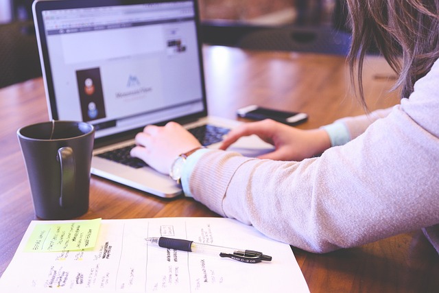 5 Best Universities for Online Bachelor’s Degrees in the Netherlands
