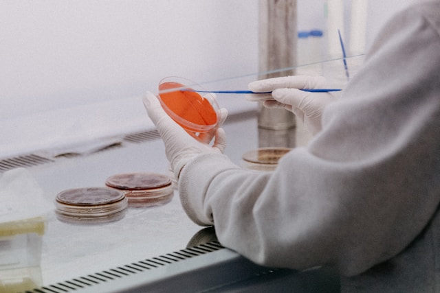 5 Best Universities to Study Biology in the Netherlands