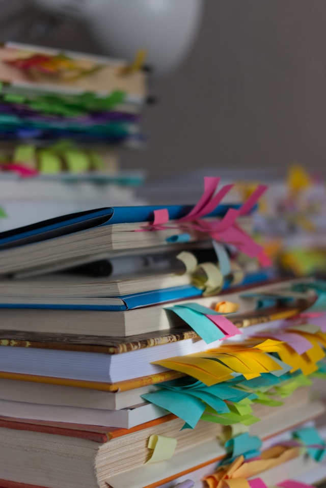 Study Ph.D. in New Zealand: Requirements and Application Process
