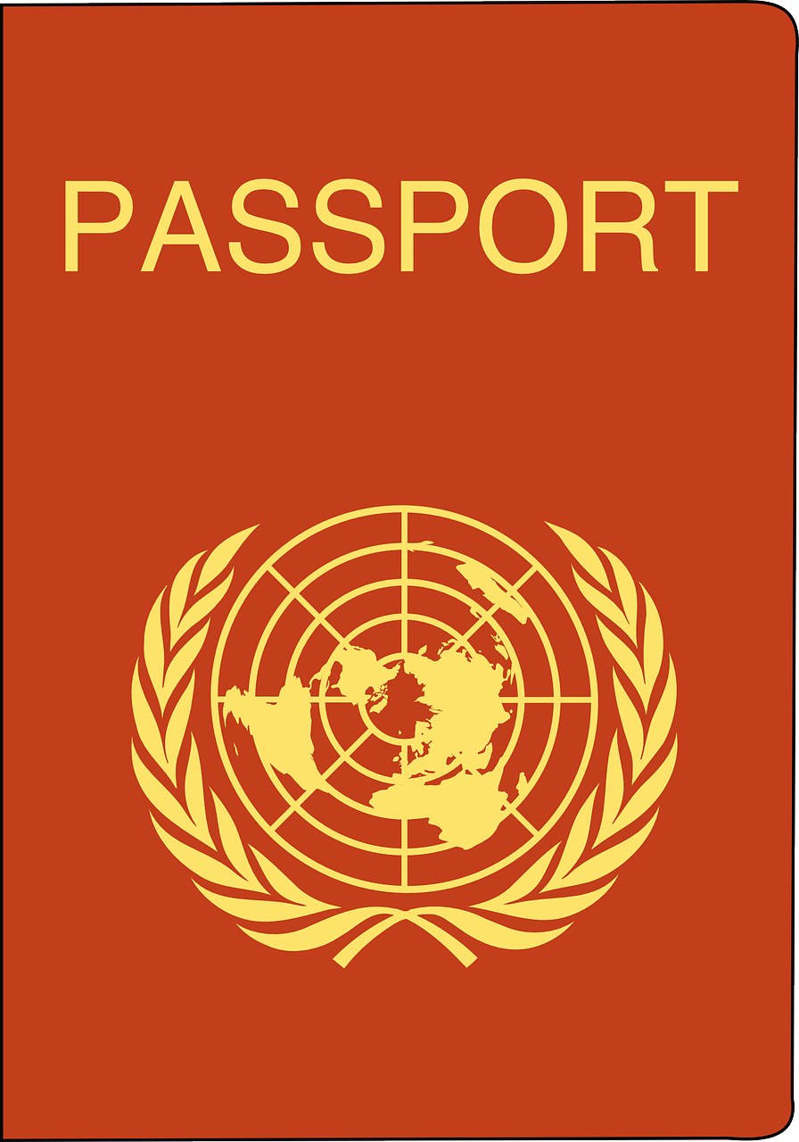 How to Get a Student Visa for Belgium (5 Steps)