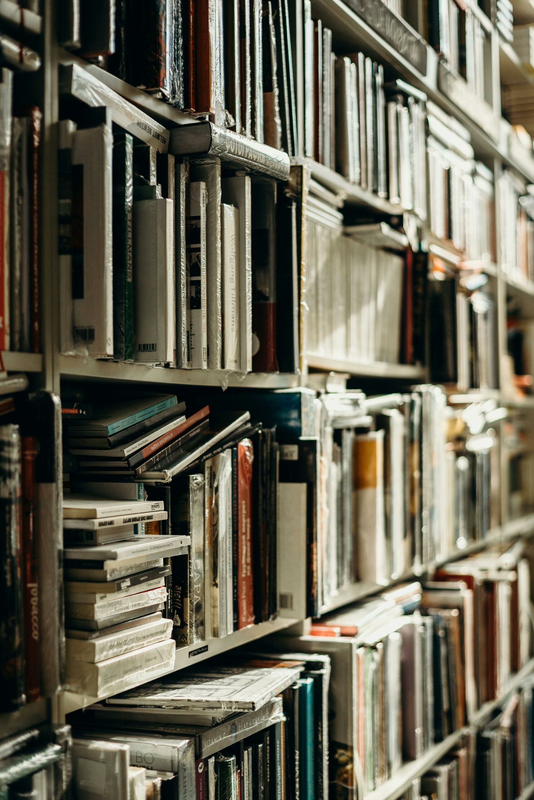 5 Best Universities to Study Humanities in Russia
