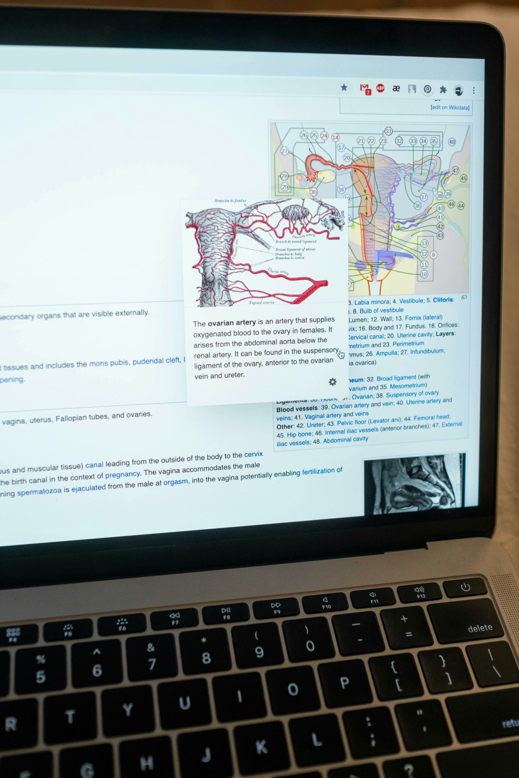 5 Best Universities to Study Biology in Sweden