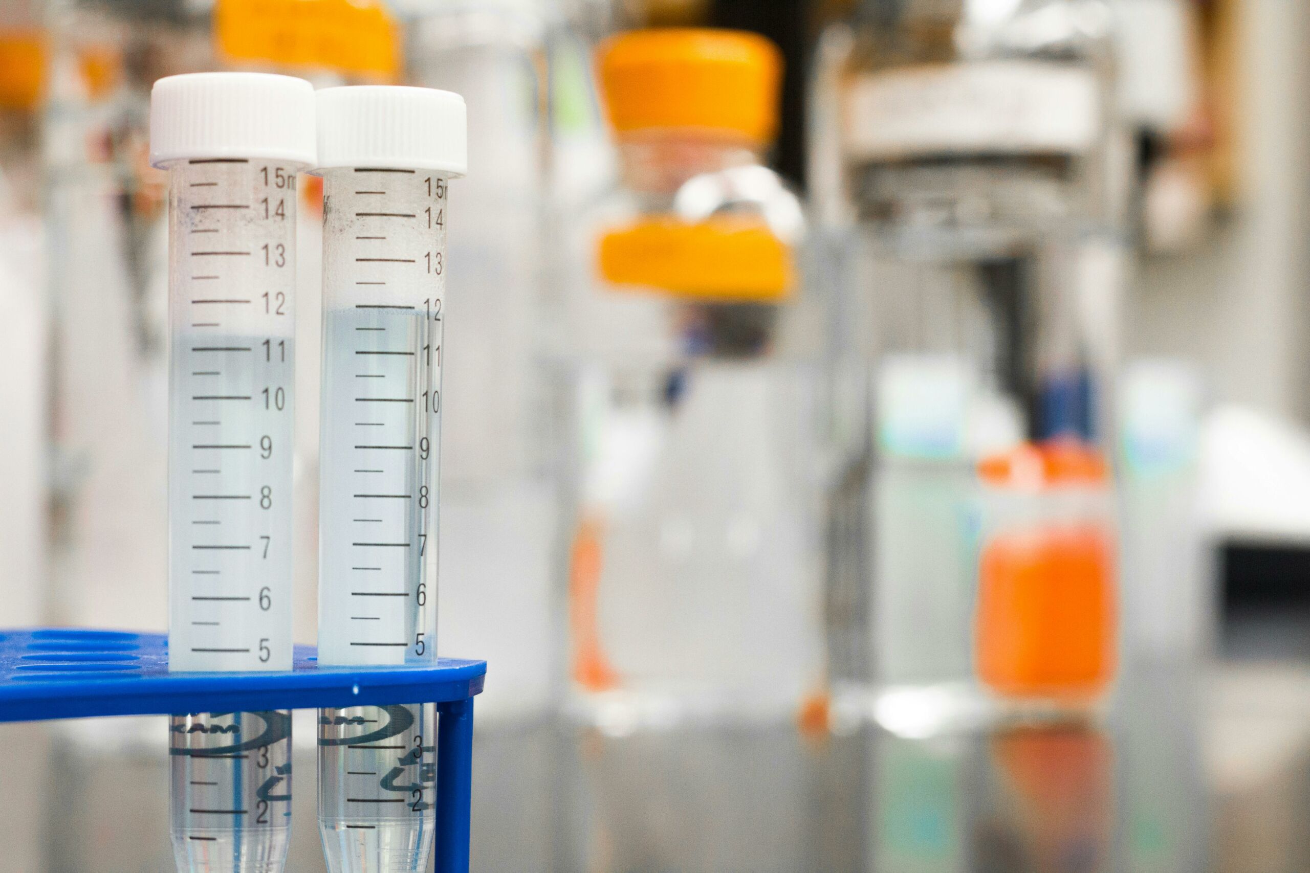 5 Best Universities to Study Biology in Belgium