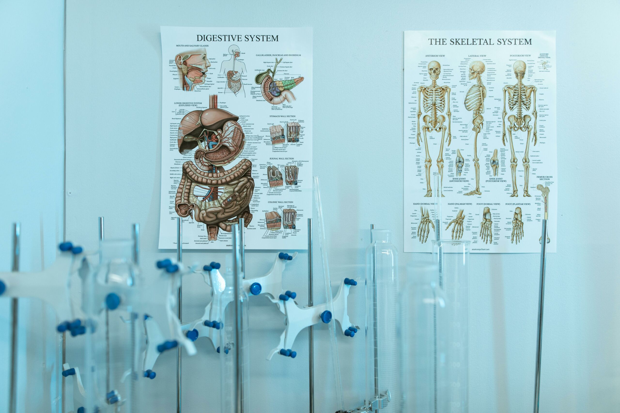 4 Best Medical Schools in Denmark