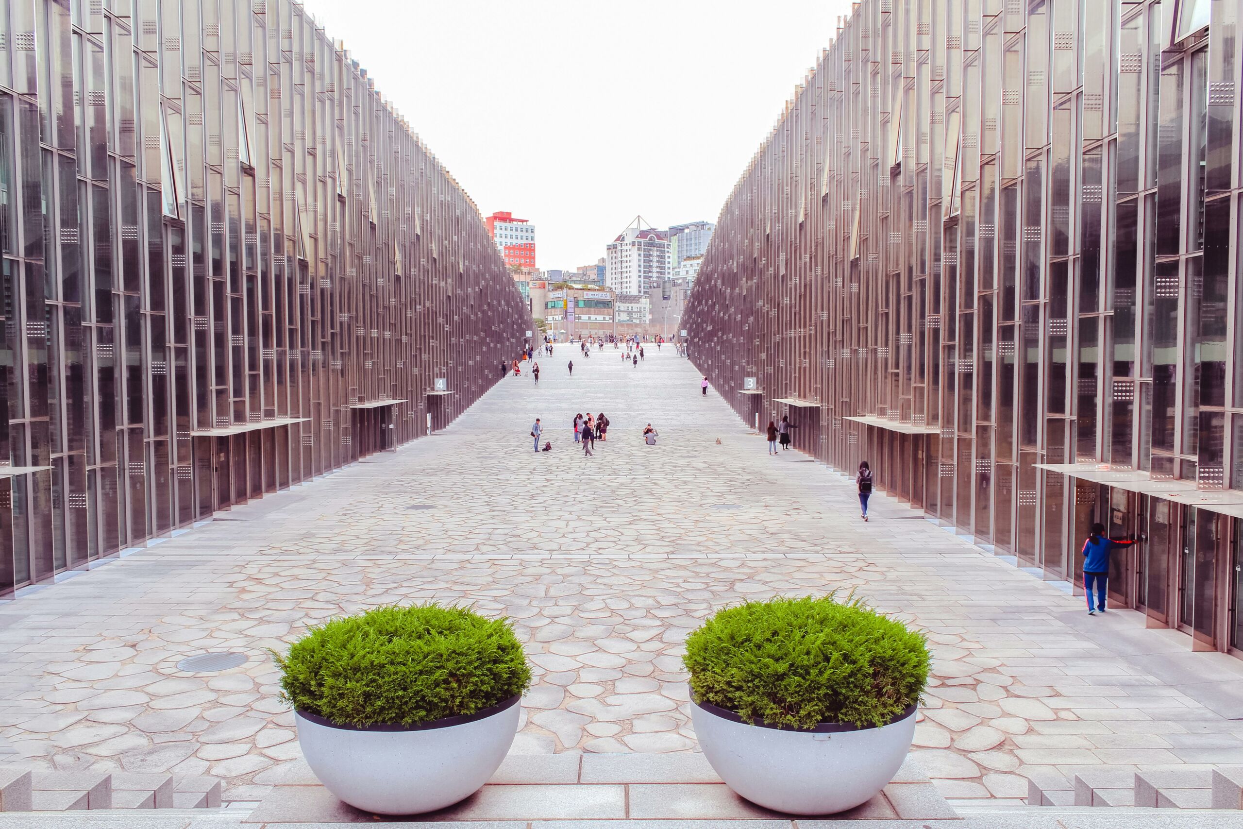 Study Master’s in France: Requirements and Application Process