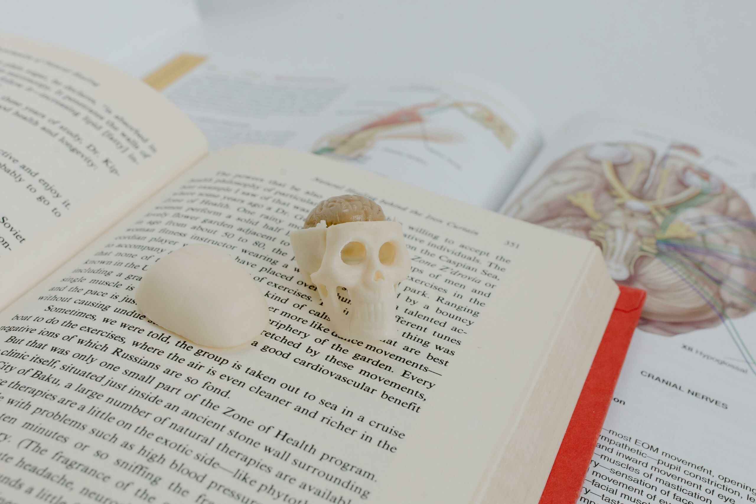 11 Best Medical Schools in Belgium