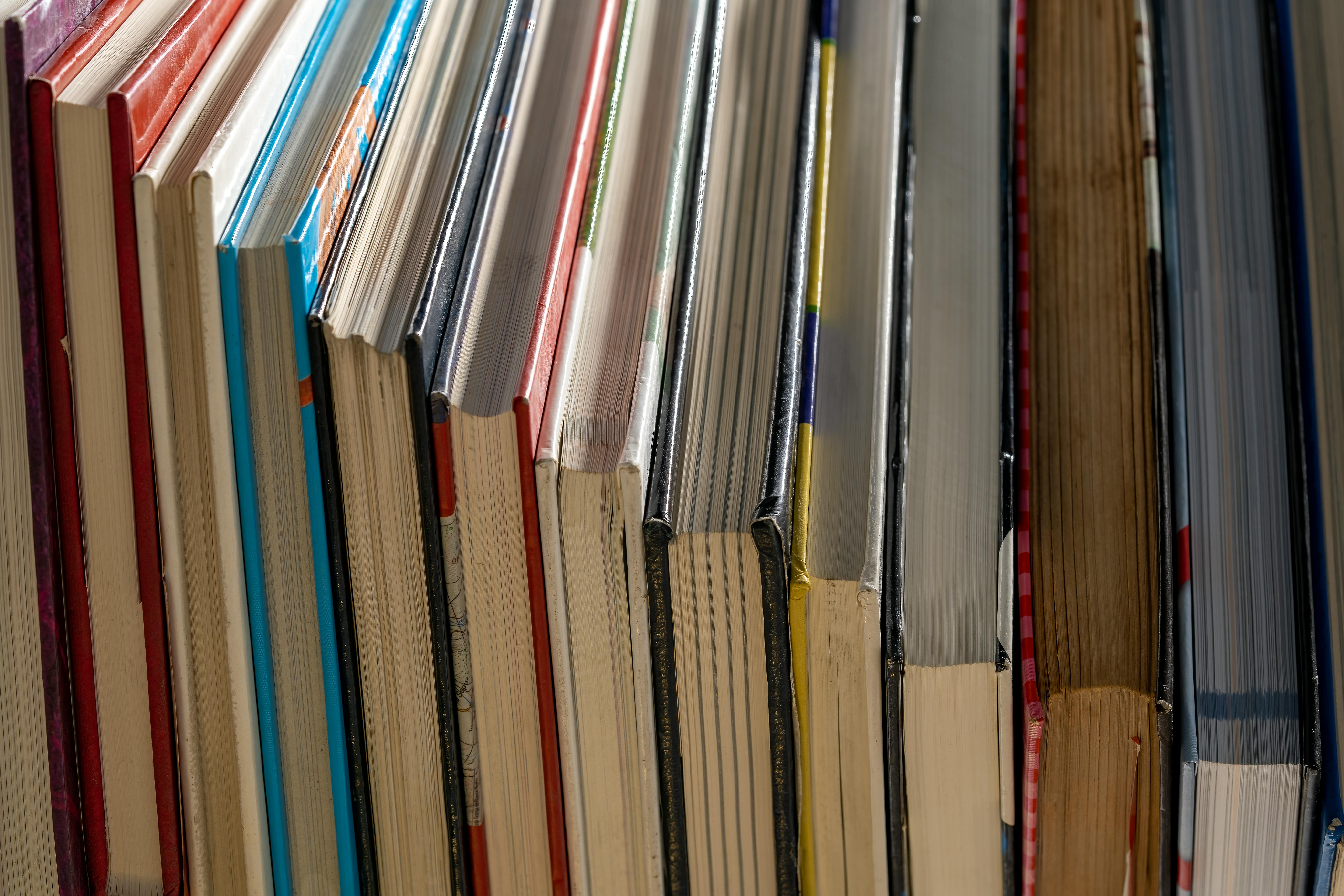 5 Best Subjects to Study in Israel