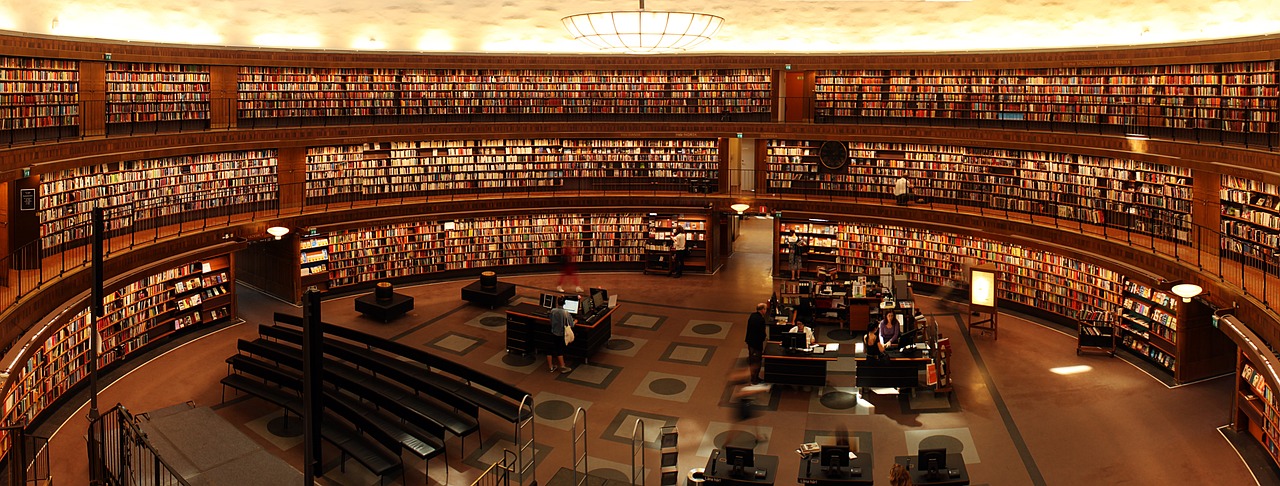 5 Best Subjects to Study in the UAE