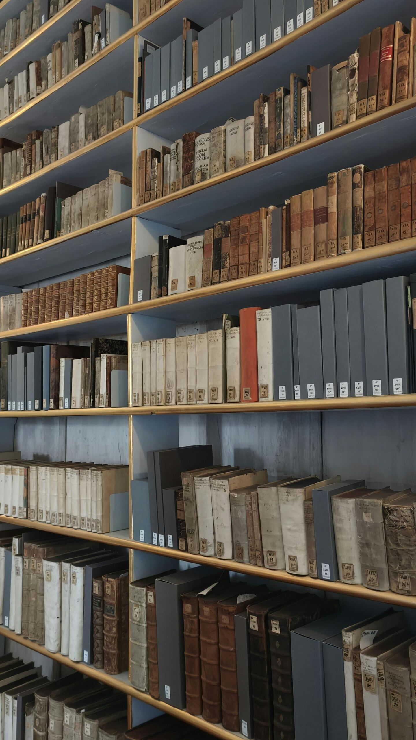 Hong Kong Scholarship Database