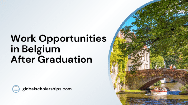 Work Opportunities in Belgium after Graduation