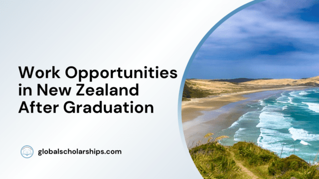 Work Opportunities in New Zealand after Graduation