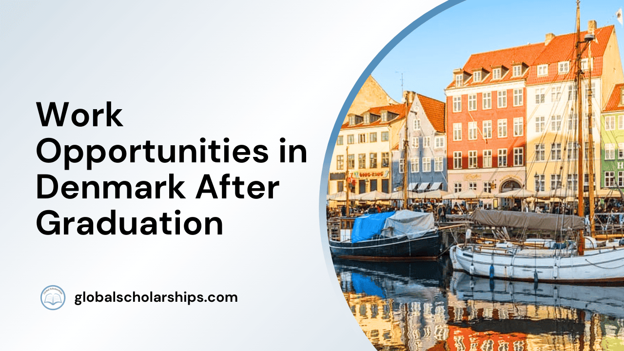 5 Work Opportunities in Denmark After Graduation