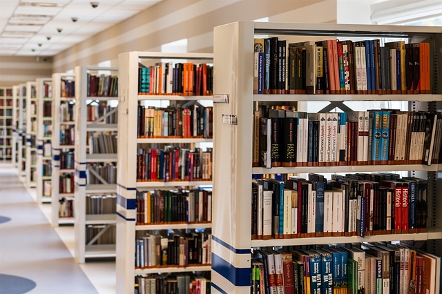 Higher Education in Denmark