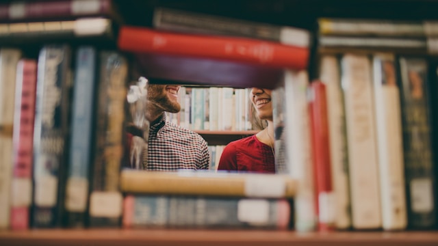 Pros and Cons of the Education System in Denmark